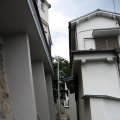 IMG_0240