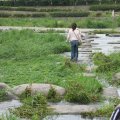 IMG_0089