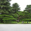 IMG_0091