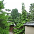 IMG_0096