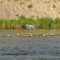 IMG_0279