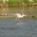 IMG_0280