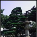 Kyoto_060805_04 