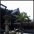 Kyoto_060805_05 