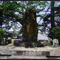 Kyoto_060805_34 