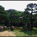 Kyoto_060805_46 