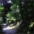 Kyoto_060805_61 