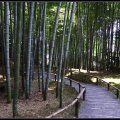 Kyoto_060805_62 