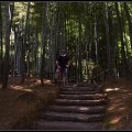 Kyoto_060805_63 