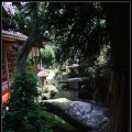 Kyoto_060805_69 