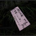 Kyoto_060805_85 