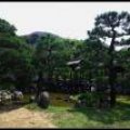Kyoto_060805_46 .jpg.thumb.
