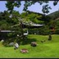 Kyoto_060805_56 .jpg.thumb.