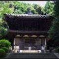 Kyoto_060805_81 .jpg.thumb.
