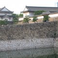 IMG_6864
