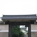 IMG_6869