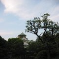 IMG_6870