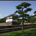 osaka_castle11 copy