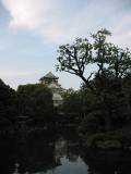 IMG_6870.JPG.thumb.