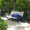 IMG_0208