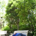 IMG_0210