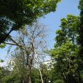 IMG_0211