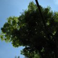IMG_0213