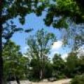IMG_0220.JPG.thumb.