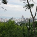 IMG_0041
