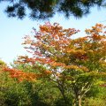 IMG_1255