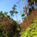 IMG_1265