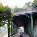 IMG_1279