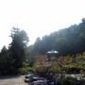 IMG_1243.JPG.thumb.