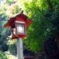IMG_1244.JPG.thumb.