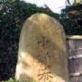 IMG_1249.JPG.thumb.