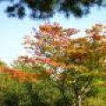 IMG_1255.JPG.thumb.