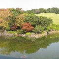 IMG_1303p