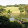 IMG_1311p