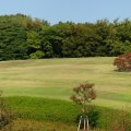 IMG_1333p