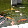 IMG_1345