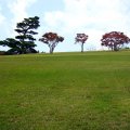 IMG_1355
