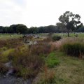 IMG_1376