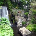 IMG_1399