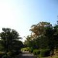 IMG_1332.JPG.thumb.