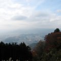 IMG_1584