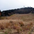 IMG_1585