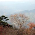 IMG_1588