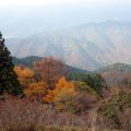 IMG_1590