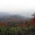 IMG_1605