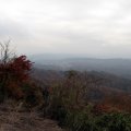 IMG_1606